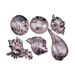 GF210-001 Assorted Resin Shells
